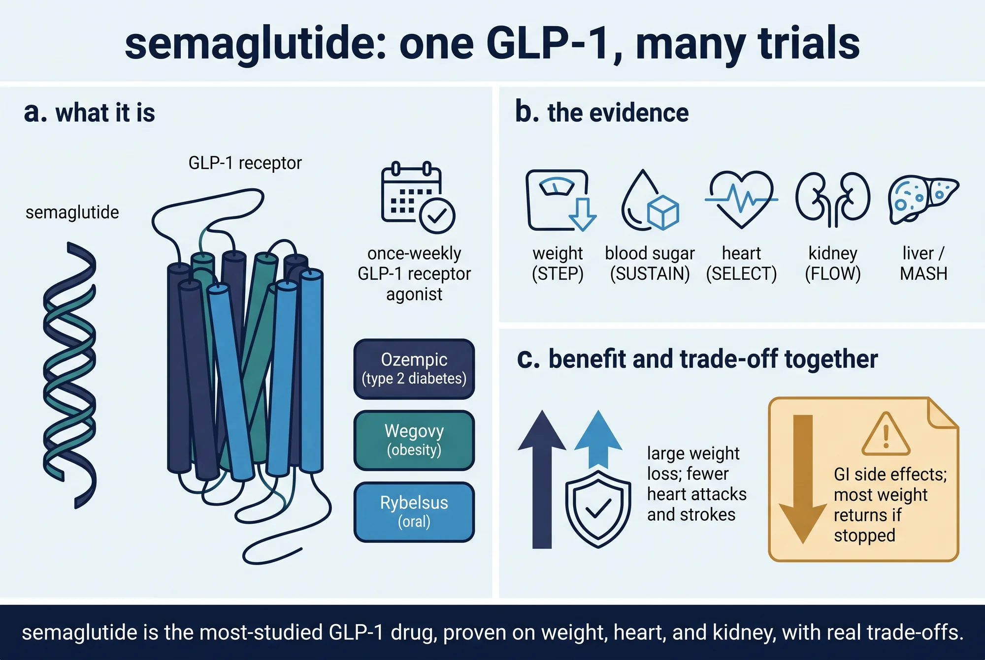A plate showing semaglutide as a once-weekly GLP-1 receptor agonist sold as Ozempic, Wegovy, and oral Rybelsus; its trial evidence across weight, blood sugar, heart, kidney, and liver; and its benefits shown together with its trade-offs.