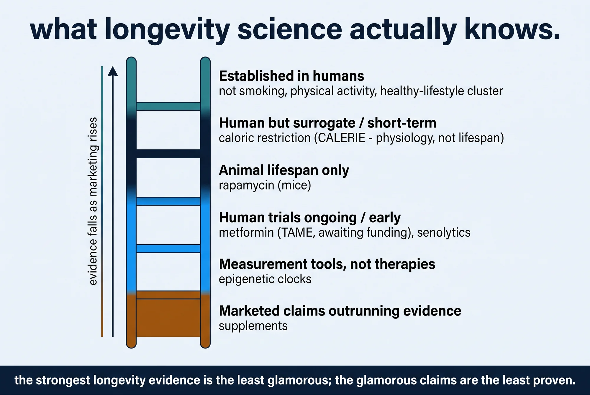 An evidence-tier ladder from established-in-humans lifestyle factors at the top down through caloric restriction, animal-only drugs, ongoing human trials, measurement clocks, to marketed supplement claims at the bottom.