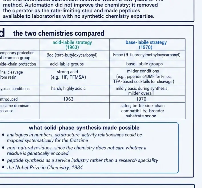 Table comparing the acid-labile and base-labile protecting-group strategies for solid-phase peptide synthesis