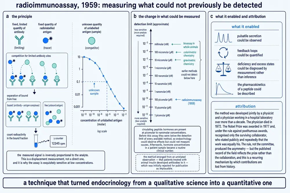 Diagram of the radioimmunoassay principle, a logarithmic scale of detection limits by method, and a panel on what the technique enabled