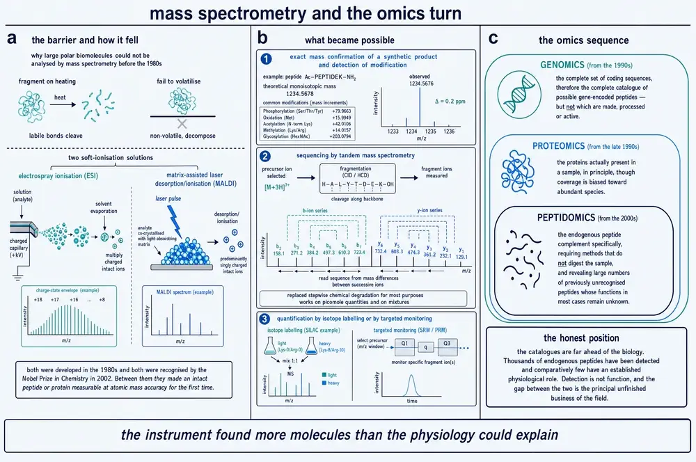Diagram of why large polar biomolecules resisted mass spectrometry, the two soft-ionisation solutions, tandem sequencing and quantification, and the genomics to peptidomics sequence