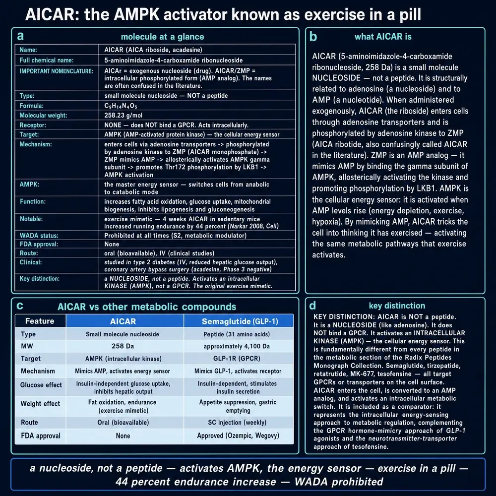AICAR identity card: nucleoside not peptide, AMPK target, nomenclature, and a class comparison with semaglutide