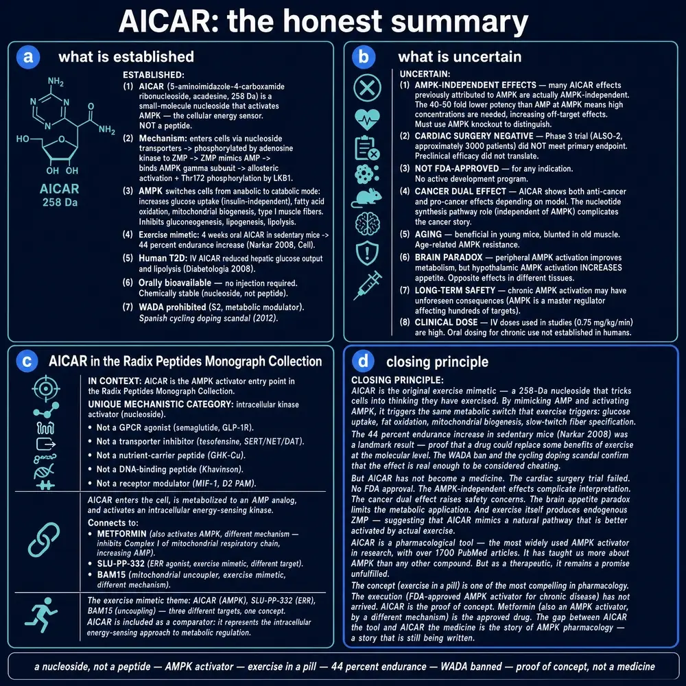 Honest summary: established facts, uncertainties, series context, and closing principle