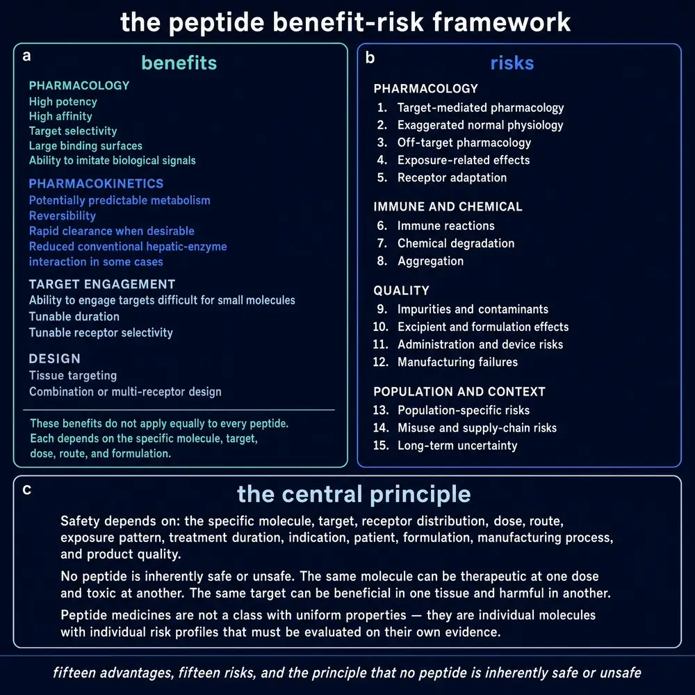 The peptide benefit-risk framework