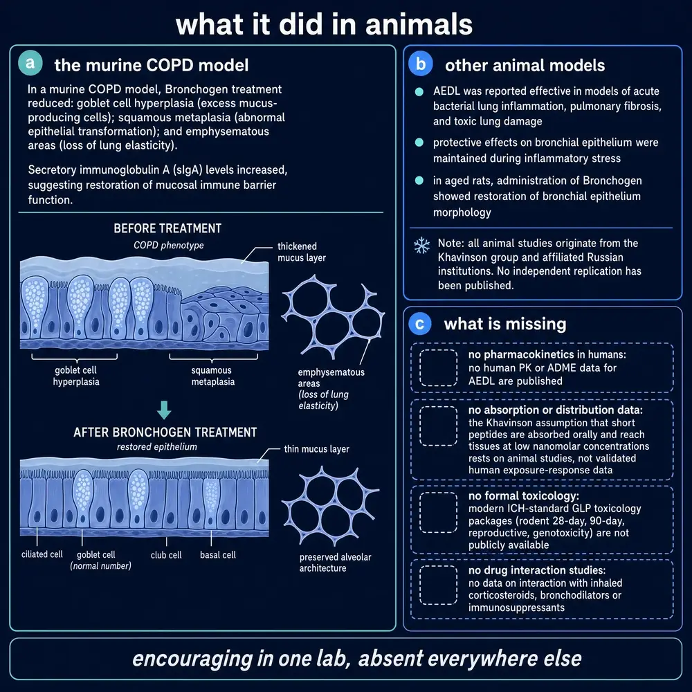 Animal findings, what was tested and what is missing