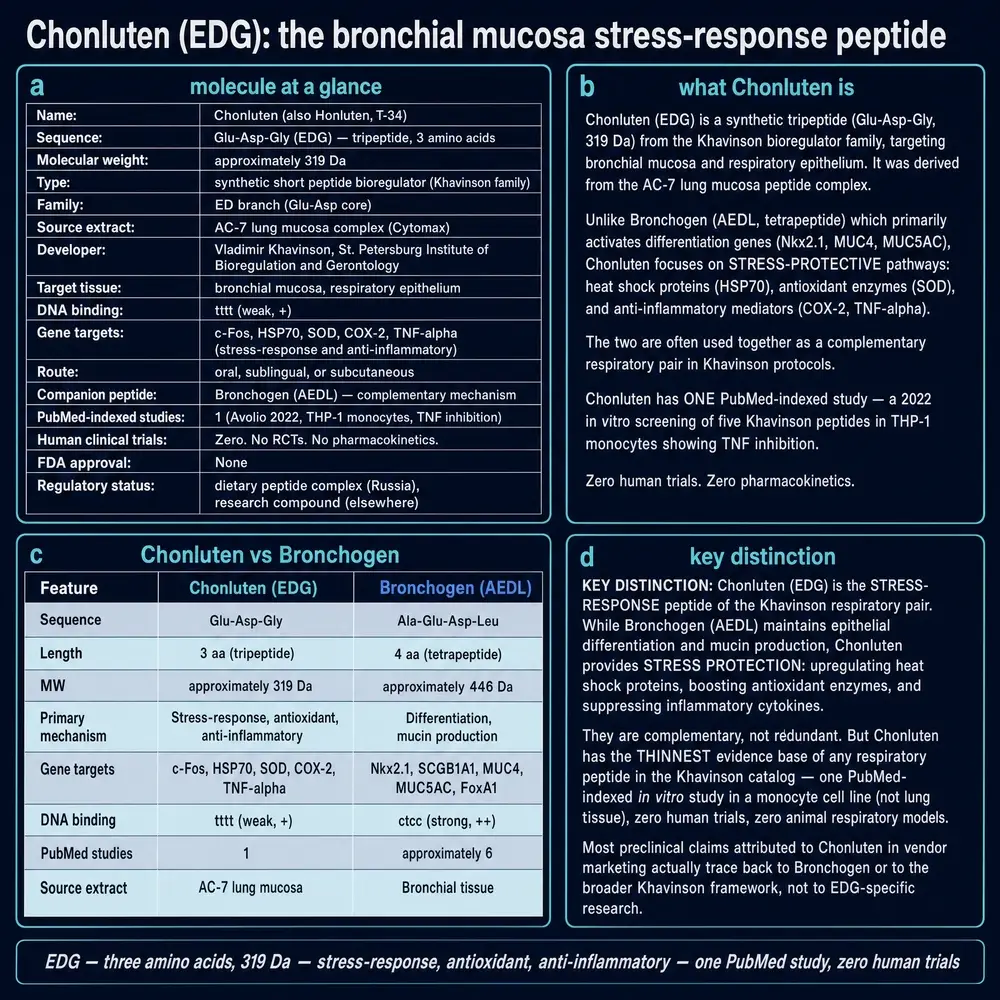 Chonluten identity card, twin split with Bronchogen, evidence thinness