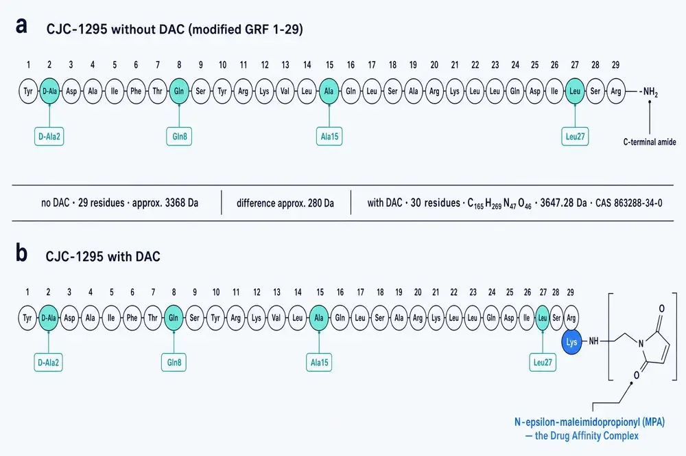 Residue-by-residue comparison of CJC-1295 without DAC and with DAC across all 29 positions