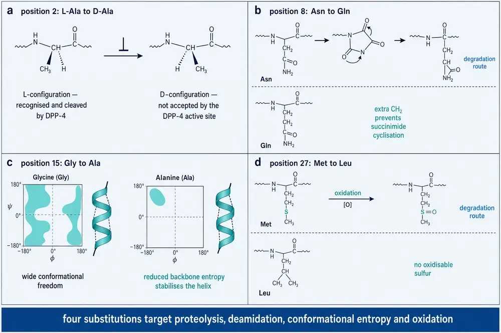Chemical rationale for each of the four substitutions: DPP-4 stereochemistry, deamidation, helix entropy and methionine oxidation