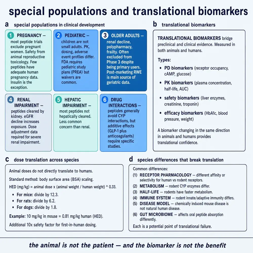 Special populations and translational biomarkers.