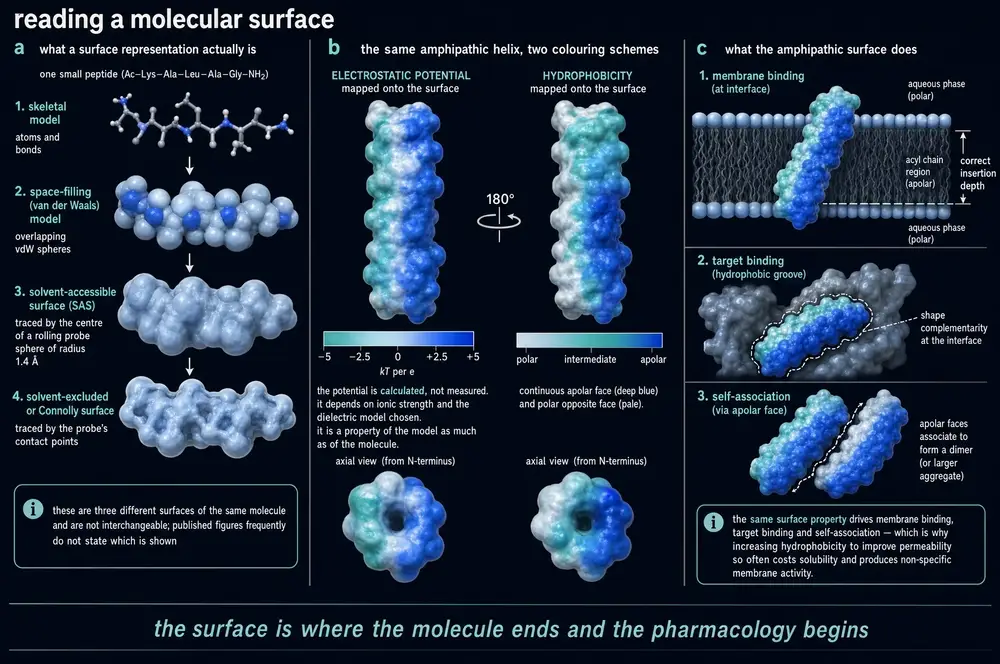 Commissioned plate 8; see the caption for what it depicts.