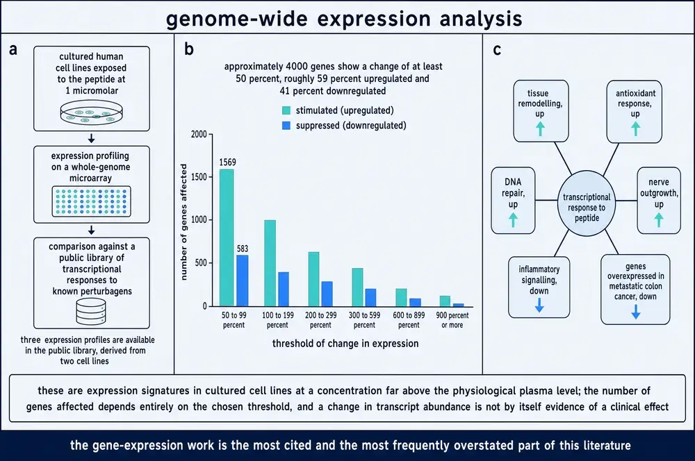Genome-wide expression analysis: method, number of genes affected at increasing thresholds, and functional groupings of the transcriptional response