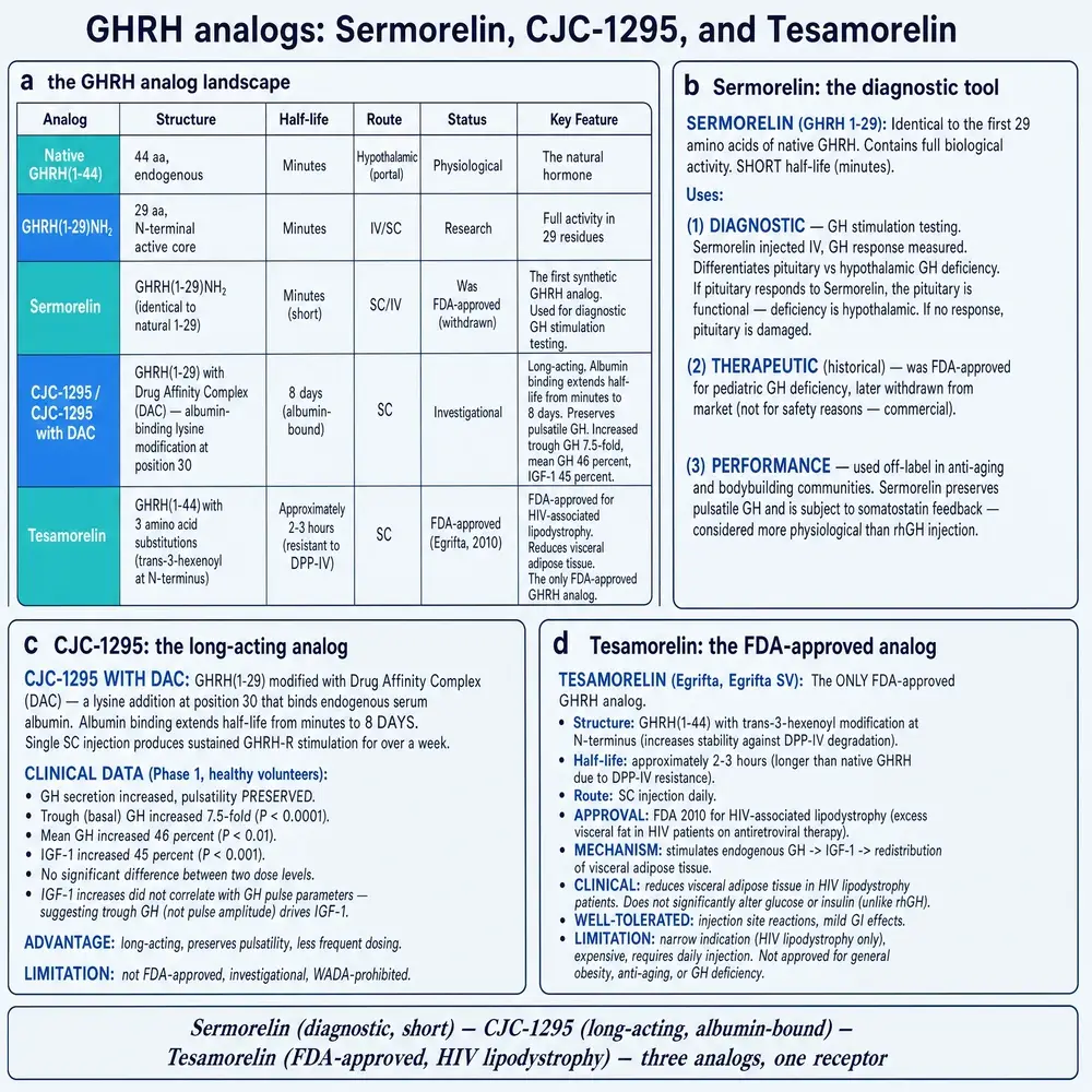 GHRH analogue landscape comparing native GHRH, GHRH 1-29, sermorelin, CJC-1295 with DAC, and tesamorelin by structure, half-life, route, status and key feature