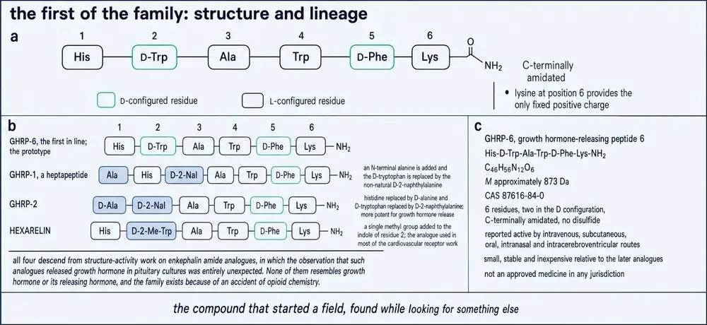 GHRP-6 primary structure and the analogue family