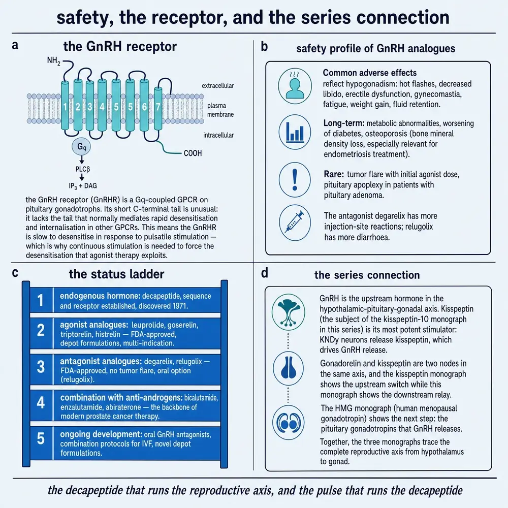 Gonadorelin commissioned plate 5