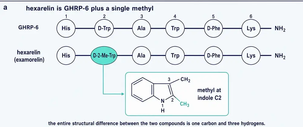 P2_methyl