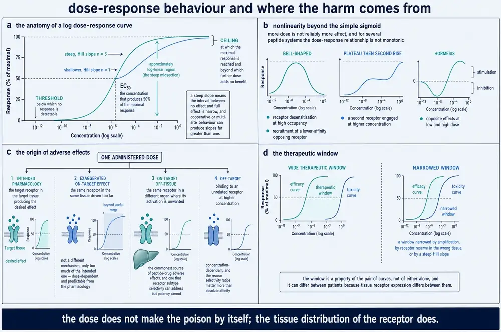 Plate showing the anatomy of a log dose-response curve, three non-monotonic curve shapes, four origins of adverse effect, and the therapeutic window as the separation between an efficacy and a toxicity curve