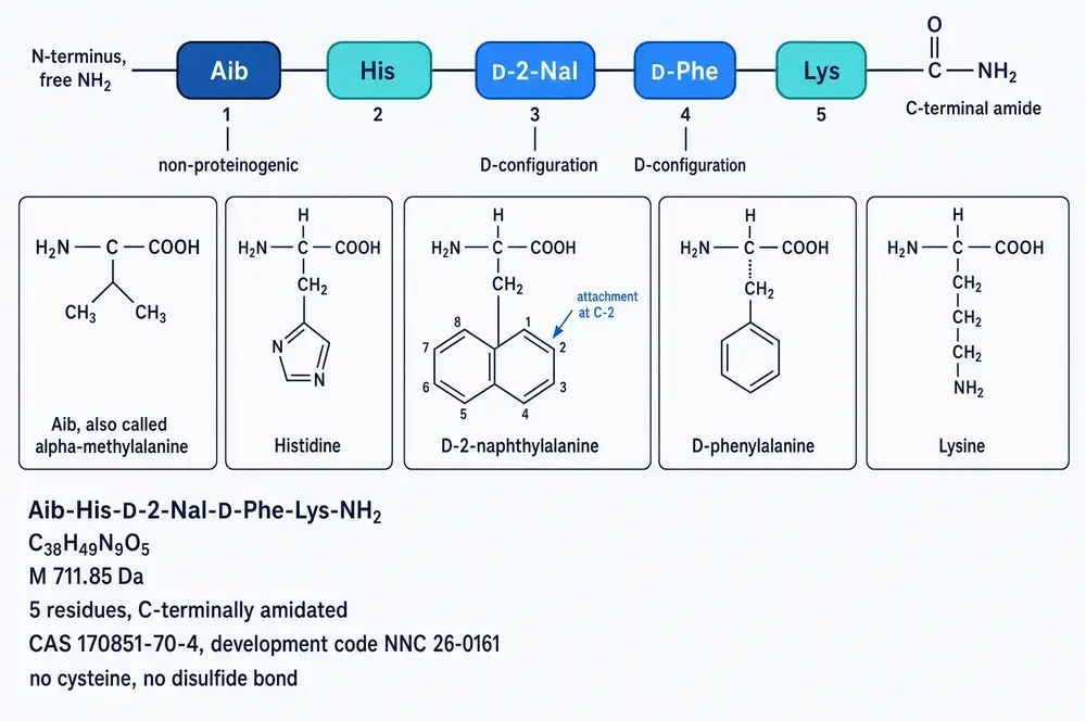 Primary structure of ipamorelin with individual residue structures