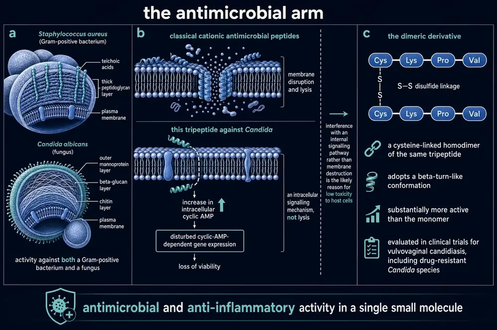 commissioned plate: antimicrob