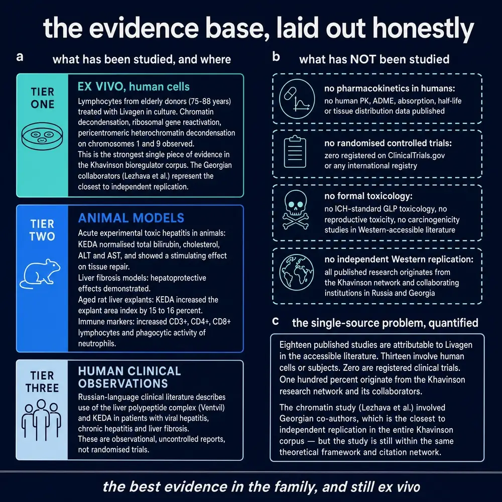 Three-tier evidence base and what has not been studied