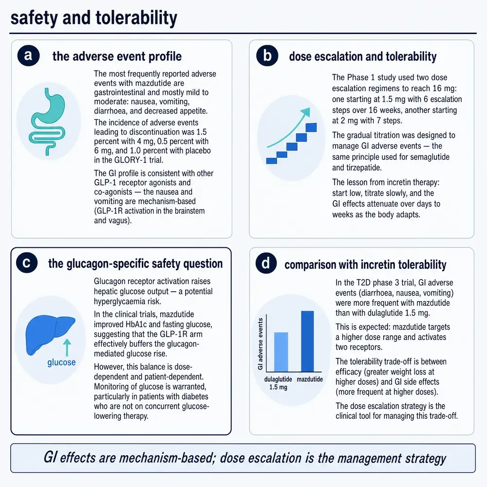 Safety and tolerability: gastrointestinal adverse-event profile, dose-escalation practice in trials, the glucagon-specific glucose question, and comparison with dulaglutide
