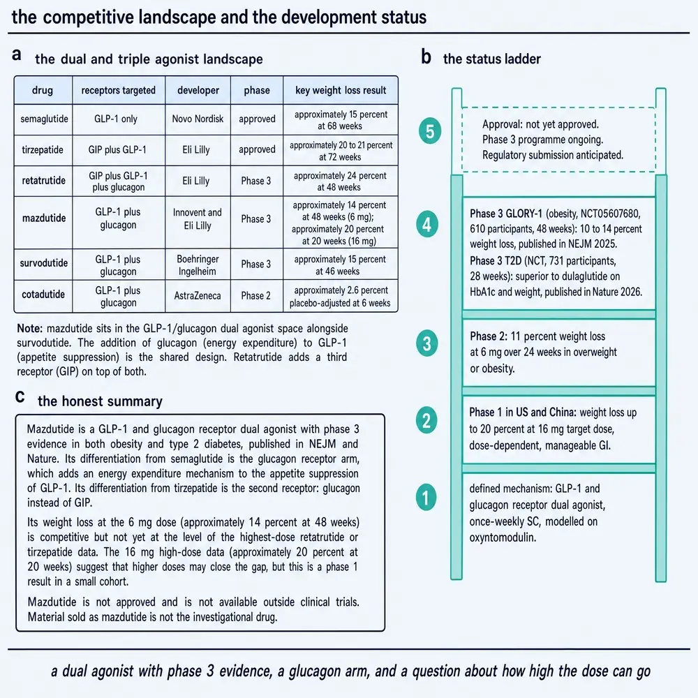 Competitive landscape of dual and triple agonists and a development-status ladder for mazdutide