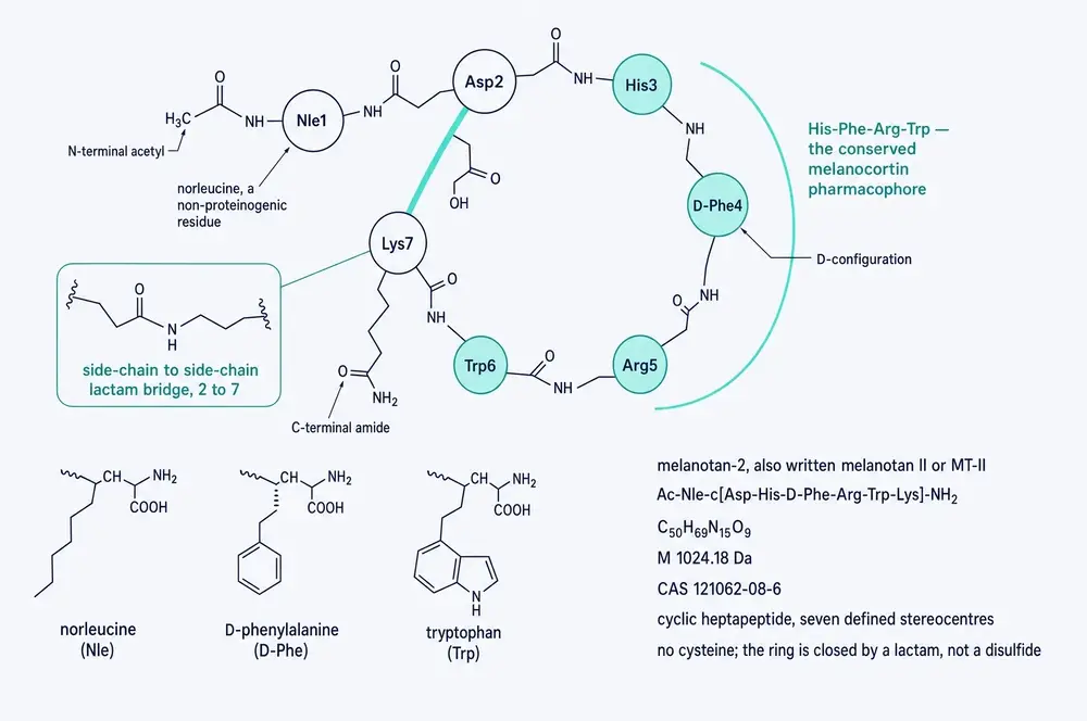 Primary structure of melanotan-II