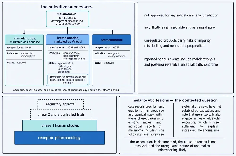 The selective successors, safety, and evidence status
