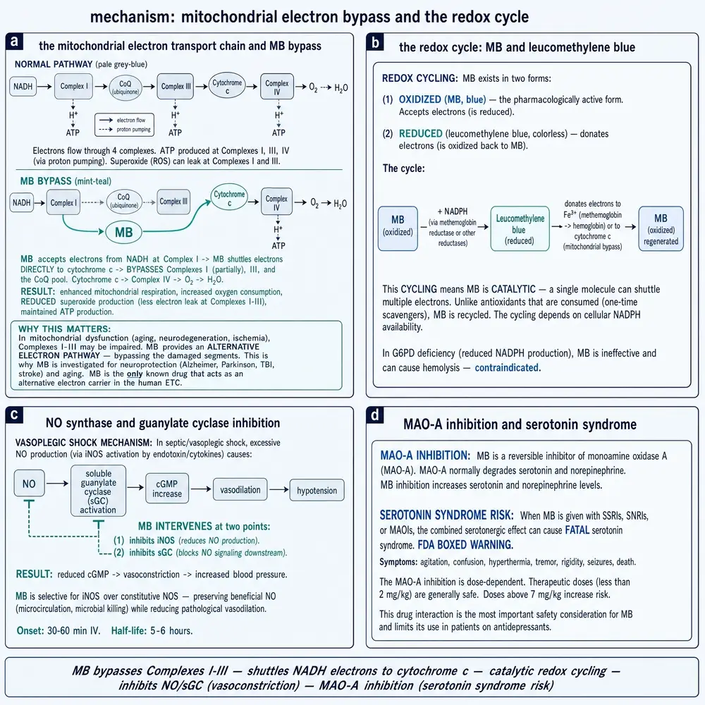 Methylene blue mechanism plate: ETC bypass schematic, catalytic redox cycle, NO/sGC inhibition, and MAO-A / serotonin-syndrome literature