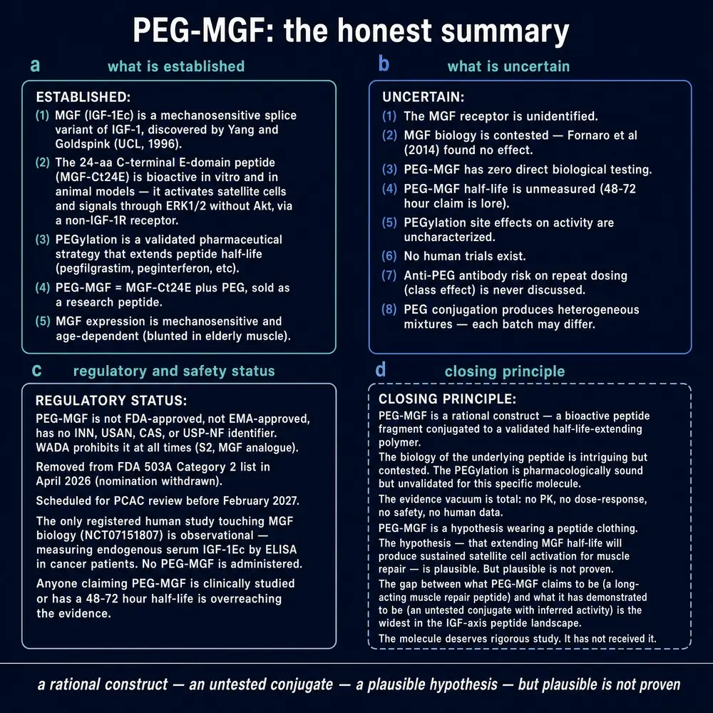 PEG-MGF honest summary: platform maturity versus product characterisation