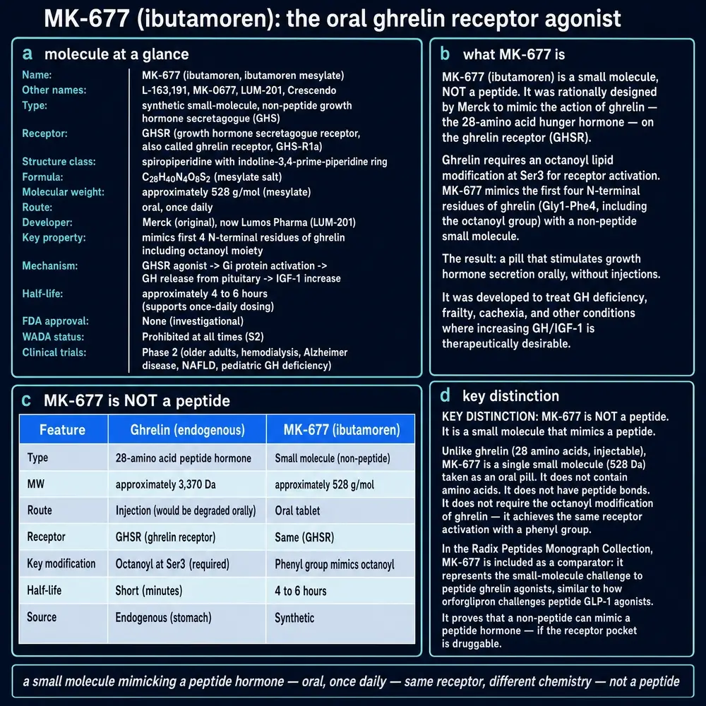 MK-677 identity: non-peptide oral GHSR agonist, aliases, and ghrelin comparison