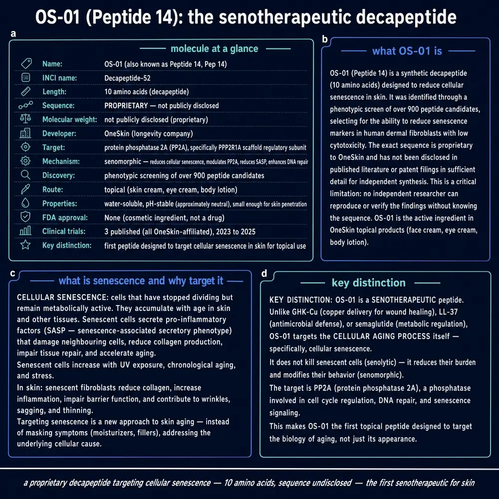 OS-01 Peptide 14 senotherapeutic decapeptide overview plate