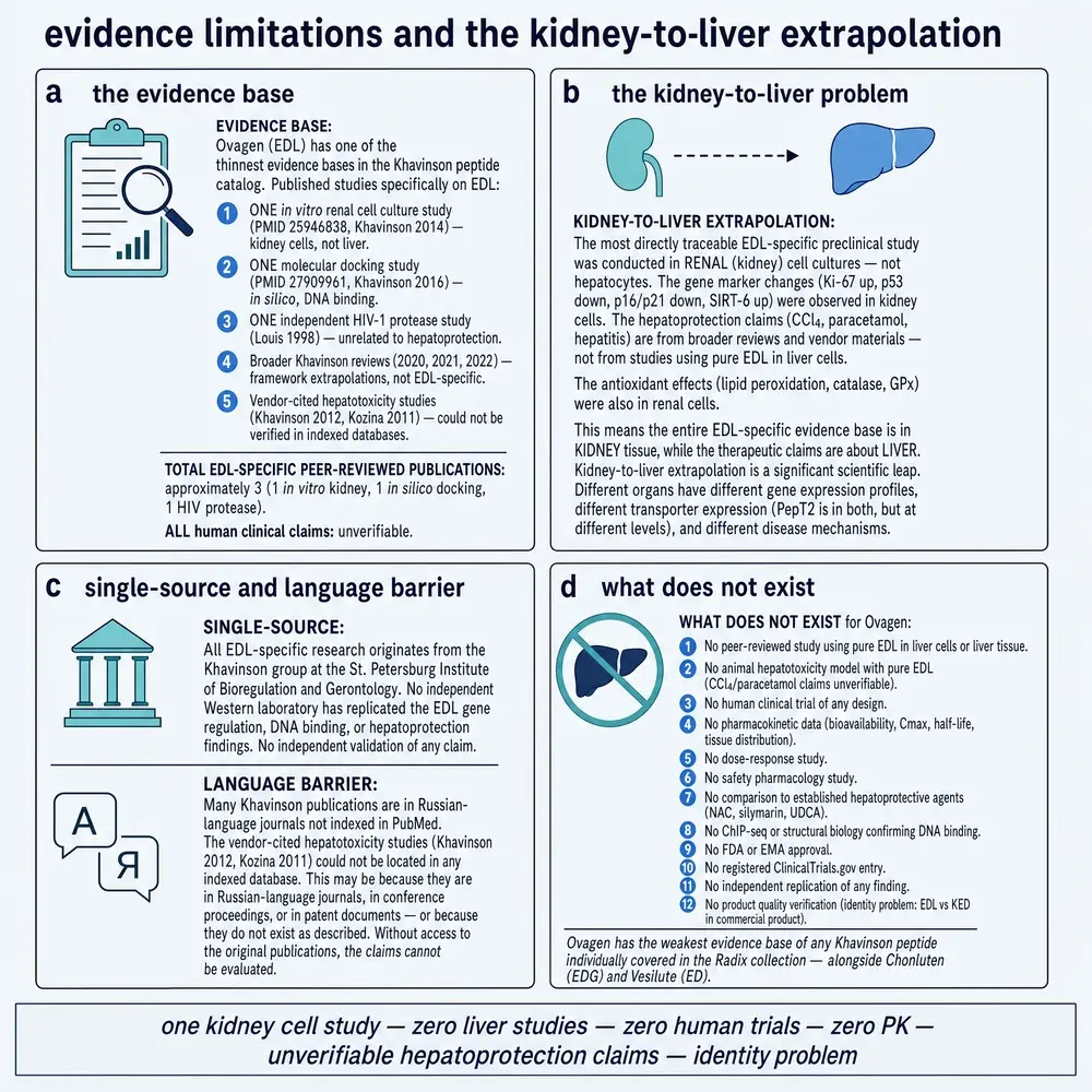 Evidence limits and kidney-to-liver extrapolation