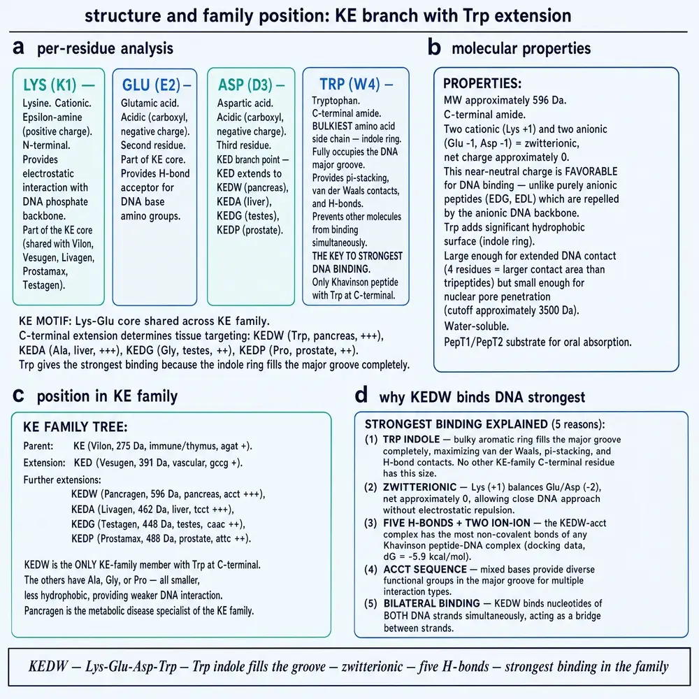 KEDW residue architecture and KE-family tree