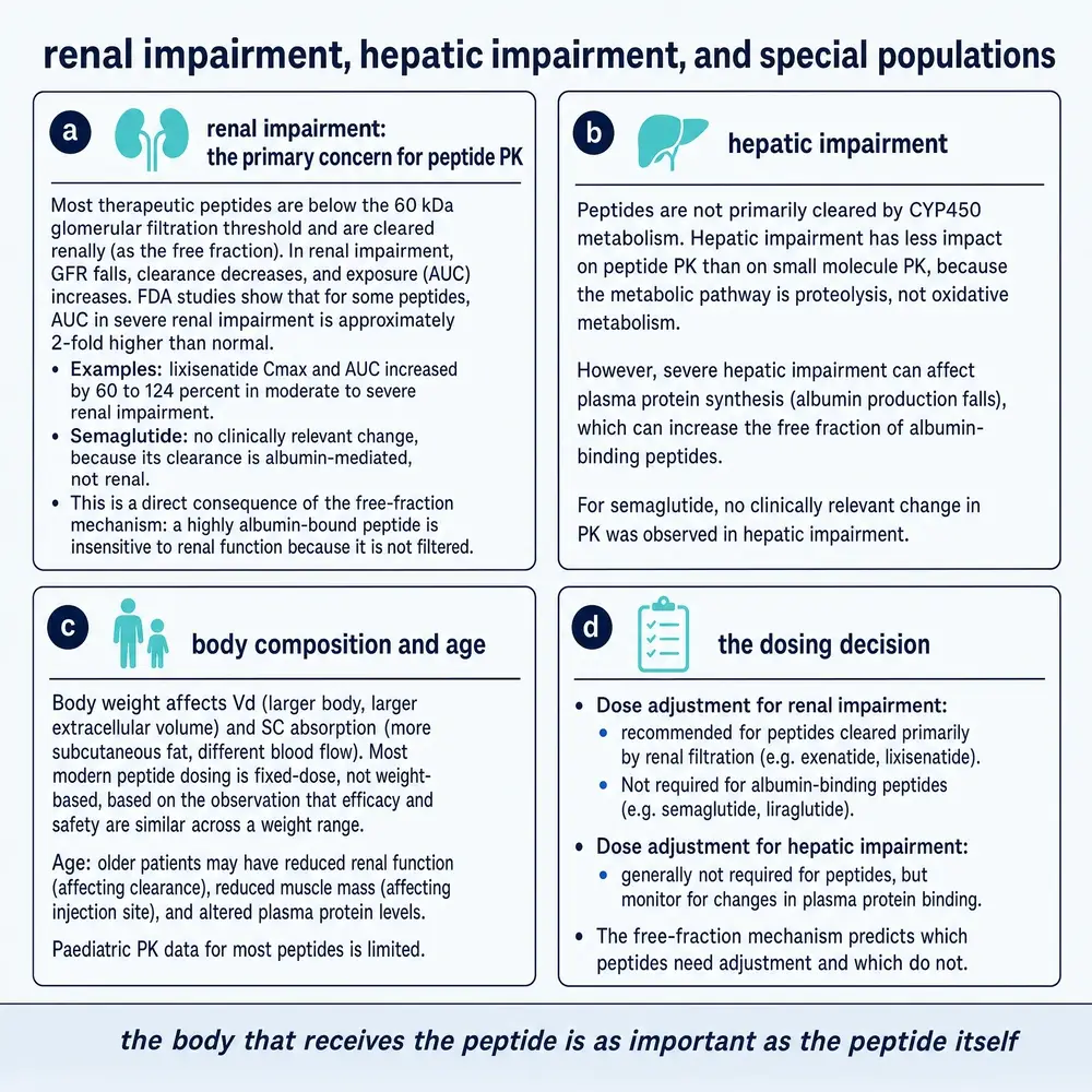 Renal impairment, hepatic impairment, and special populations