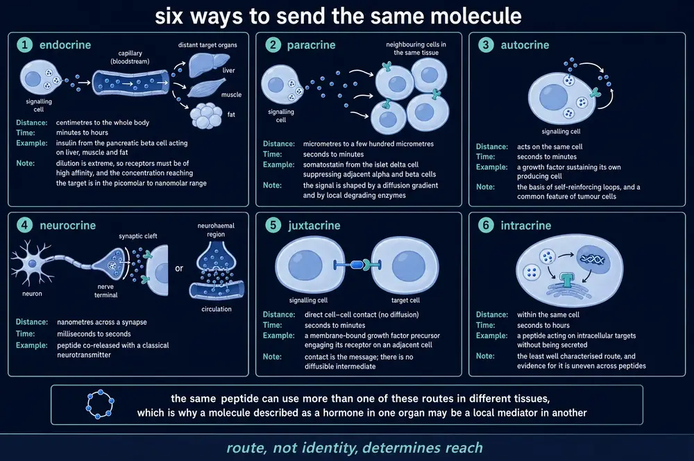 Six ways to send the same molecule