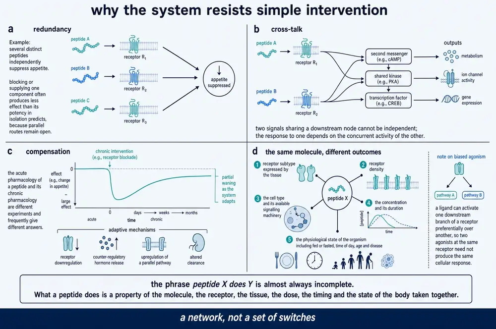 Why the system resists simple intervention