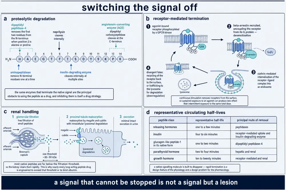 Switching the signal off