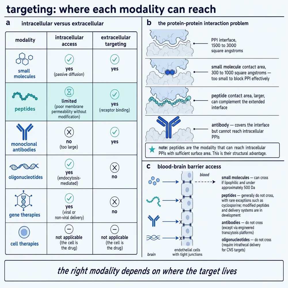 Targeting map: where each modality can reach