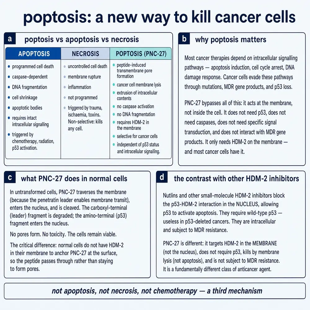 Poptosis: a new way to kill cancer cells