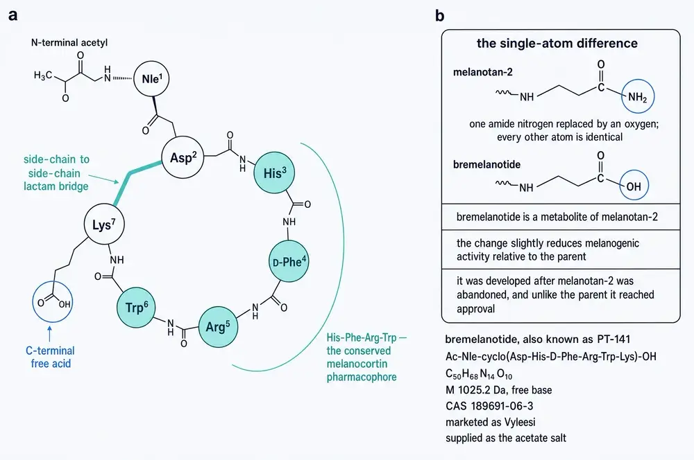 Primary structure of bremelanotide showing the cyclic heptapeptide with lactam bridge, and its single-atom difference from melanotan II