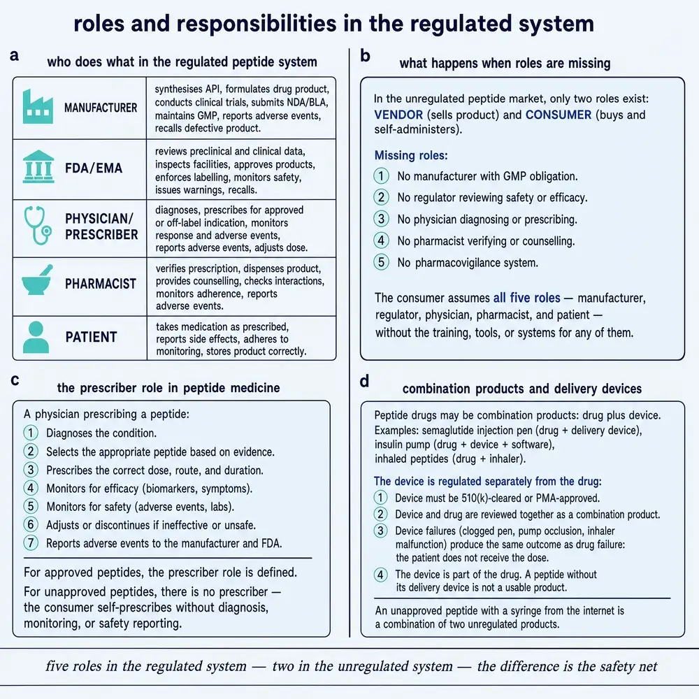 Roles and responsibilities in the regulated system