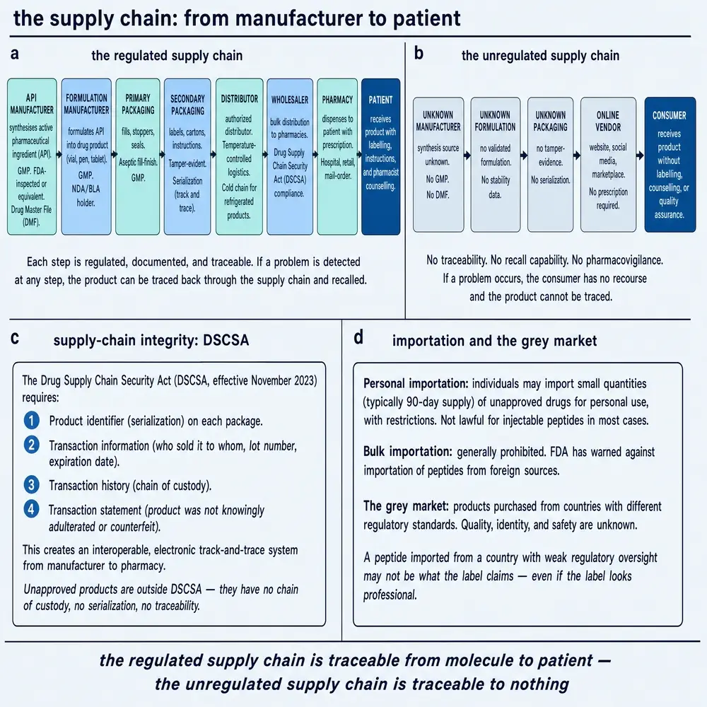 The supply chain: from manufacturer to patient