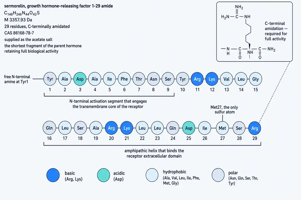 Primary structure of sermorelin: the 29-residue sequence with residues coloured by chemical class, the C-terminal amide shown as a skeletal callout, and the two functional regions bracketed