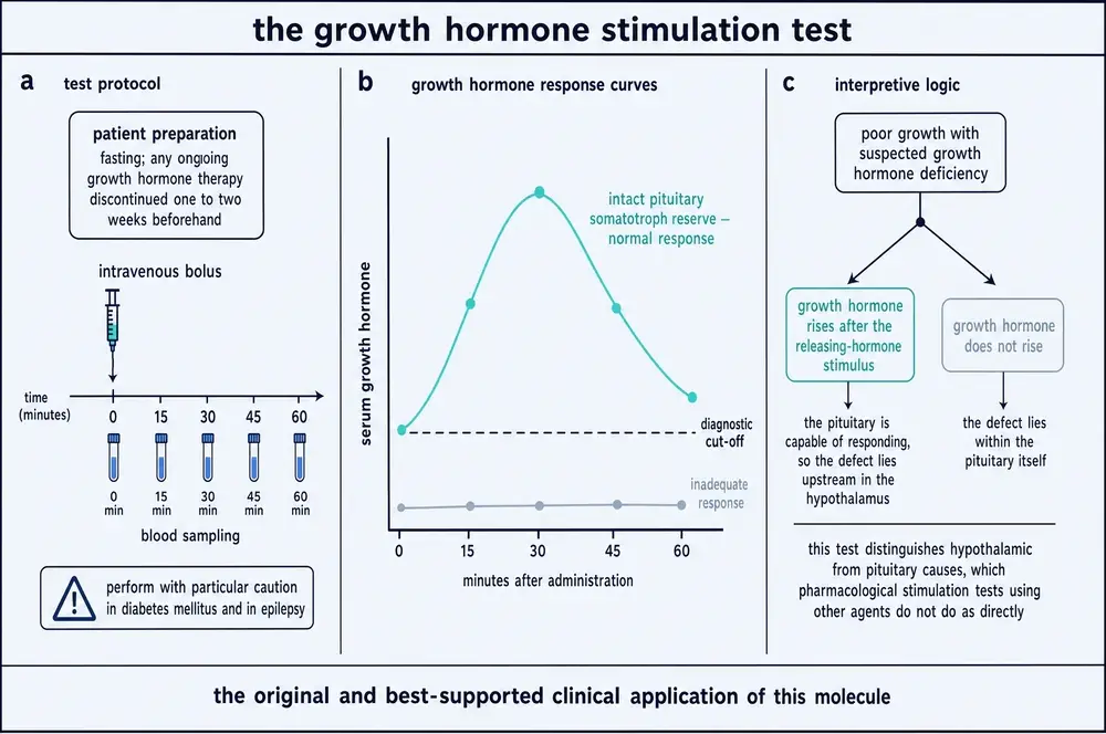 The growth hormone stimulation test: protocol with sampling at 0, 15, 30, 45 and 60 minutes; normal and inadequate response curves; and the interpretive logic distinguishing hypothalamic from pituitary causes