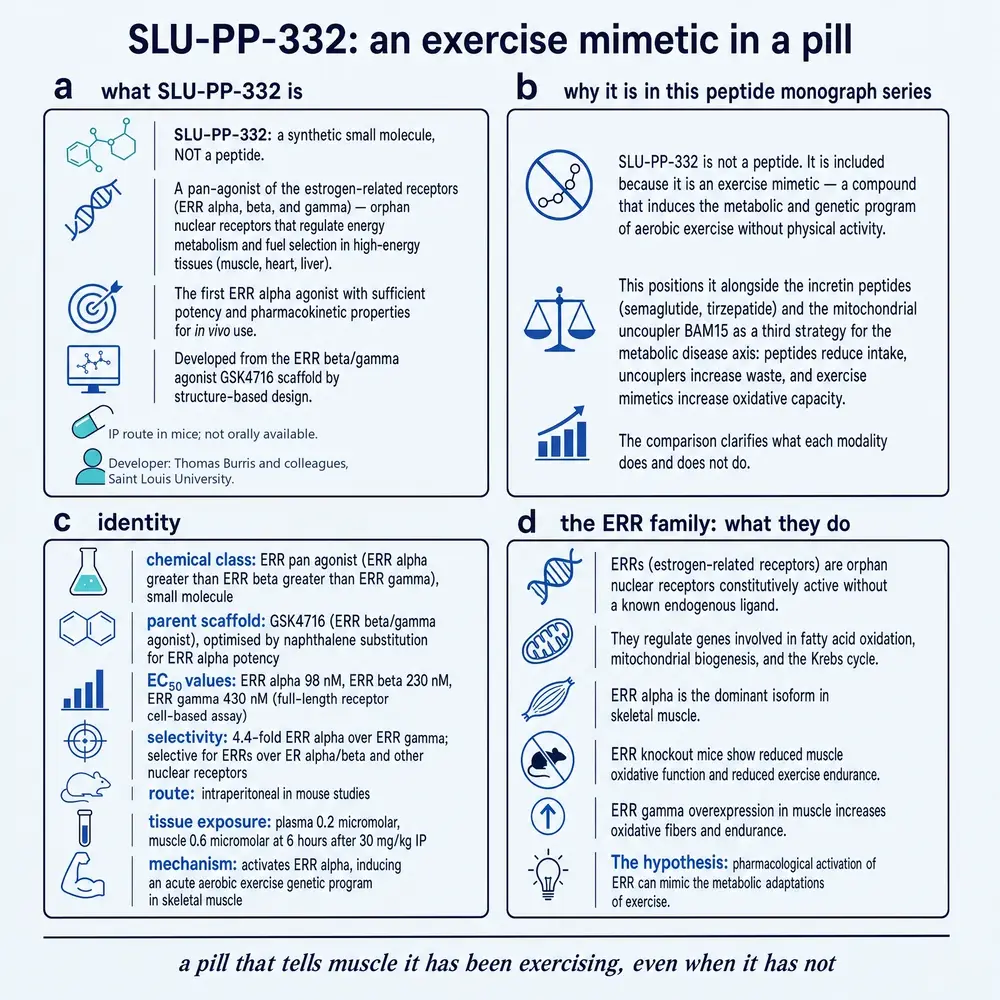 Commissioned identity plate for SLU-PP-332: what it is, why it appears in a peptide series, potency and ERR family biology