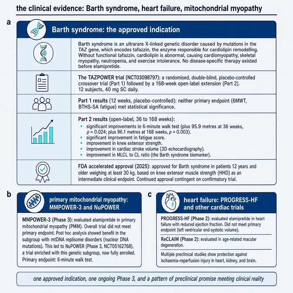 Clinical evidence cards for Barth syndrome TAZPOWER, primary mitochondrial myopathy MMPOWER/NuPOWER, and heart-failure or AMD programmes