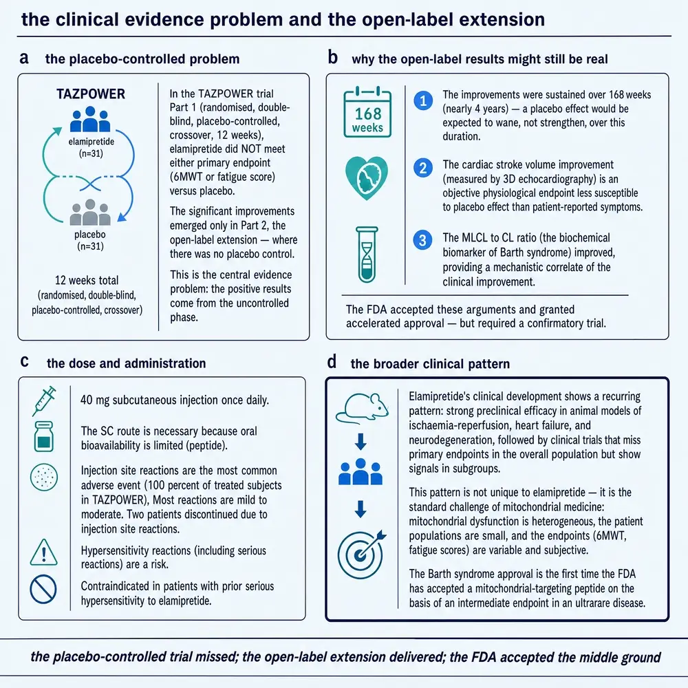 TAZPOWER placebo-controlled miss versus open-label extension arguments, labelled regimen, and broader translational pattern
