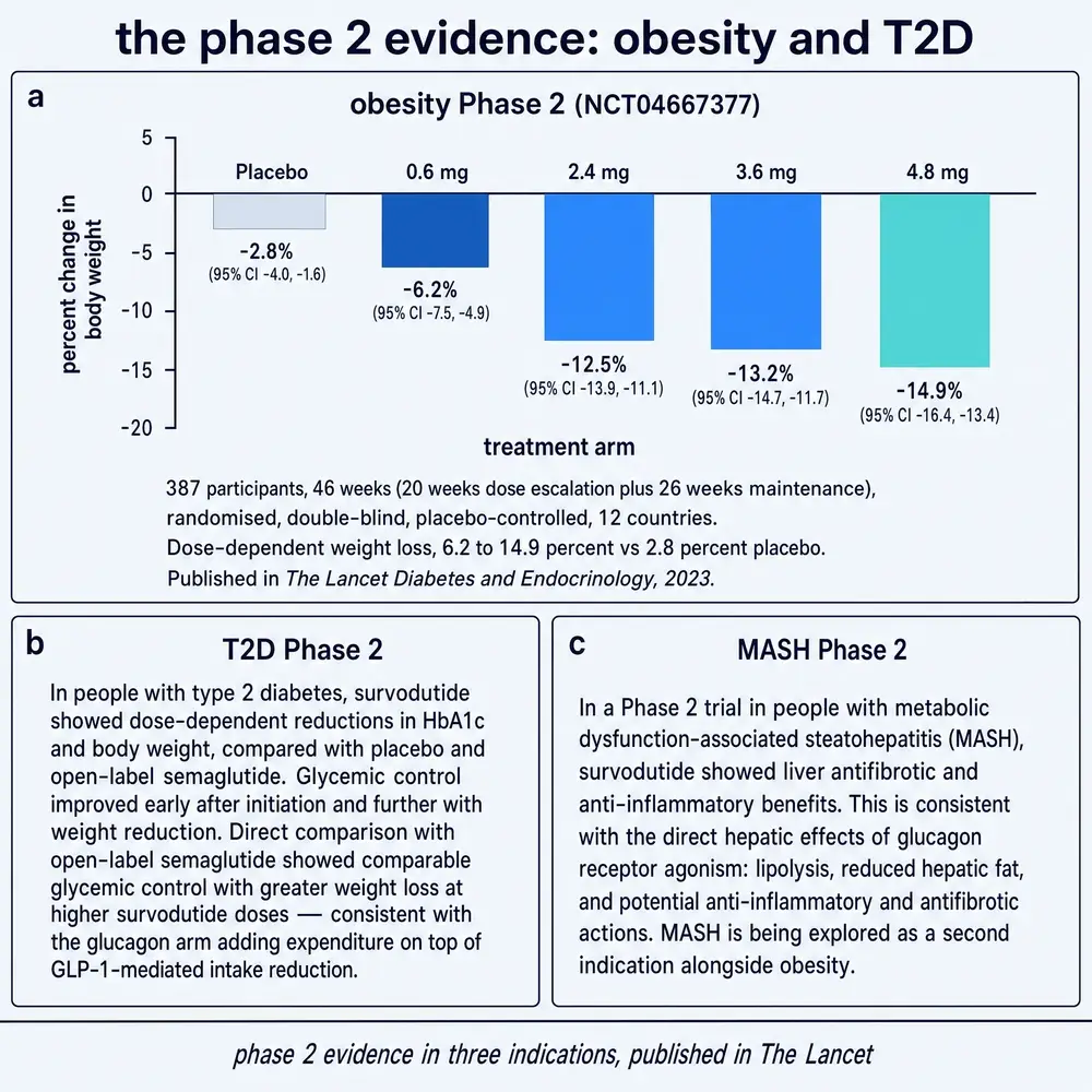 Phase 2 evidence for survodutide in obesity, type 2 diabetes and MASH: dose-response weight loss bars and summary cards