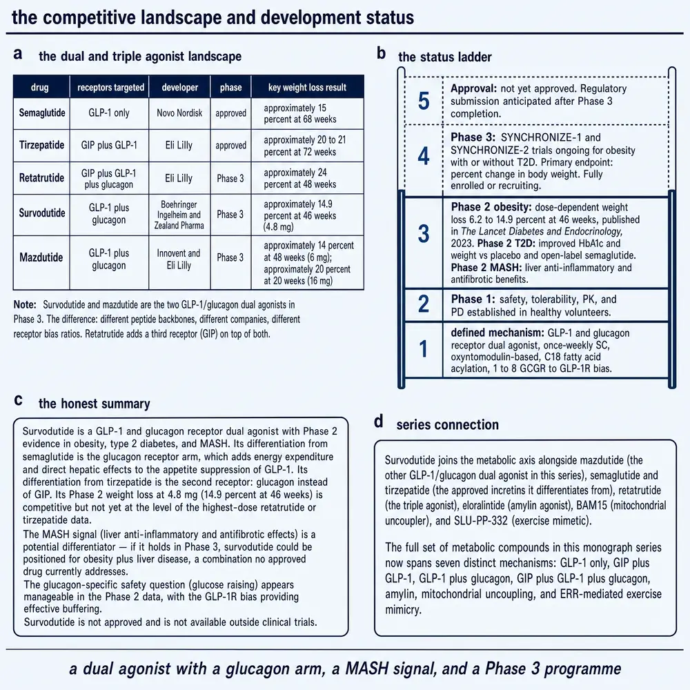 Competitive landscape of dual and triple agonists and a development-status ladder for survodutide
