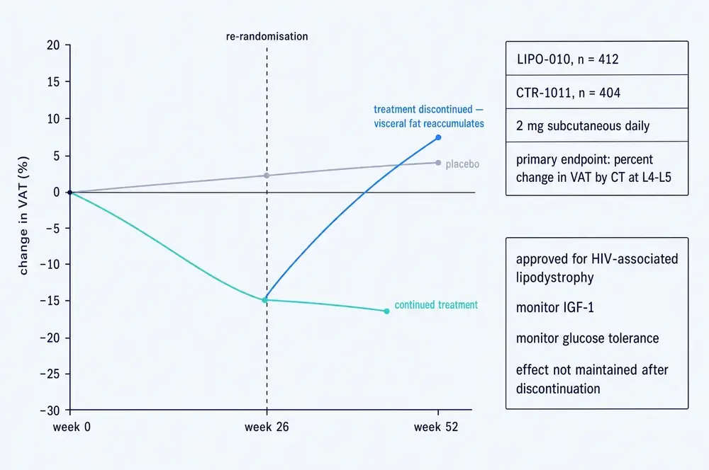 Line chart of percent change in visceral adipose tissue from week 0 to week 52, with a dashed vertical line marking re-randomisation at week 26. A teal line falls to about minus 15 percent by week 26 and continues gently downward to about minus 16 percent at week 52, labelled continued treatment. A blue line follows the same descent to week 26 then rises steeply to about plus 7 percent by week 52, labelled treatment discontinued, visceral fat reaccumulates. A grey line labelled placebo drifts slightly upward to about plus 4 percent. Side panels list trial identifiers and sizes, 2 milligram subcutaneous daily dosing, the primary endpoint of percent change in visceral adipose tissue by CT at L4 to L5, approval for HIV-associated lipodystrophy, and monitoring of IGF-1 and glucose tolerance.